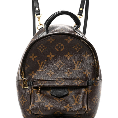 Monogram Palm Springs Backpack Mini