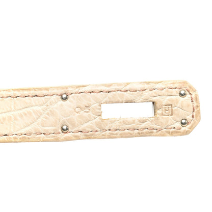 Matte Niloticus Crocodile Birkin 30 Parchemin