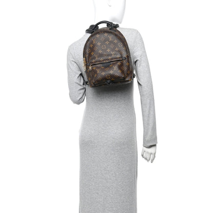 Monogram Palm Springs Backpack PM